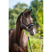 HB Halfter Showtime Pioneer Schwarz HB Halfter Showtime Pioneer Schwarz