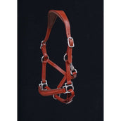 HB Halfter Showtime Little Sizes Cognac/Cognac HB Halfter Showtime Little Sizes Cognac/Cognac