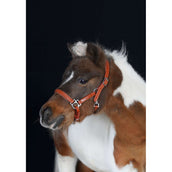 HB Halfter Showtime Little Sizes Cognac/Cognac HB Halfter Showtime Little Sizes Cognac/Cognac