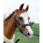 HB Halfter Showtime Glitty Little Sizes Schwarz/Navy Funkeln HB Halfter Showtime Glitty Little Sizes Schwarz/Navy Funkeln