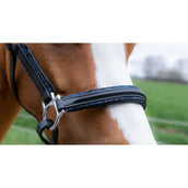 HB Halfter Showtime Glitty Little Sizes Schwarz/Navy Funkeln HB Halfter Showtime Glitty Little Sizes Schwarz/Navy Funkeln