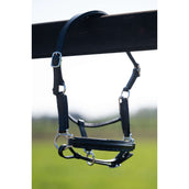 HB Halfter Showtime Glitty Little Sizes Schwarz/Navy Funkeln HB Halfter Showtime Glitty Little Sizes Schwarz/Navy Funkeln