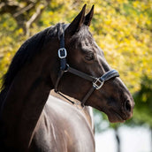 HB Ruitersport Halfter Showtime Grand Slam Schwarz/Silber HB Ruitersport Halfter Showtime Grand Slam Schwarz/Silber