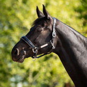 HB Ruitersport Halfter Showtime Grand Slam Schwarz/Silber HB Ruitersport Halfter Showtime Grand Slam Schwarz/Silber