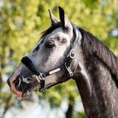 HB Ruitersport Halfter Showtime Grand Slam Schwarz/Schwarz HB Ruitersport Halfter Showtime Grand Slam Schwarz/Schwarz