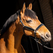 HB Halfter Wisconsin Schwarz/Silber HB Halfter Wisconsin Schwarz/Silber