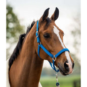 HB Showtime Halfterset Tropical Velvet Turkish Blue HB Showtime Halfterset Tropical Velvet Turkish Blue