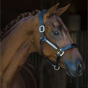 HB Showtime Halfter Lorenzo Leder Schwarz HB Showtime Halfter Lorenzo Leder Schwarz