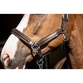 HB Showtime Halfter Glitty Braun/Golden Glitter HB Showtime Halfter Glitty Braun/Golden Glitter