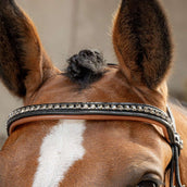 Harry's Horse Zaum Black Cognac Schwarz Harry's Horse Zaum Black Cognac Schwarz