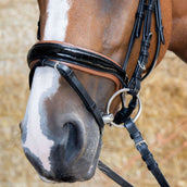 Harry's Horse Zaum Black Cognac Schwarz Harry's Horse Zaum Black Cognac Schwarz