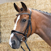 Harry's Horse Zaum Black Cognac Schwarz Harry's Horse Zaum Black Cognac Schwarz