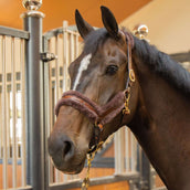 Harry's Horse Halfter Leder Anatomic Furry Matt Braun Harry's Horse Halfter Leder Anatomic Furry Matt Braun