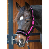 Harry's Horse Halfter Lyrics Quotes Fuchsia Harry's Horse Halfter Lyrics Quotes Fuchsia