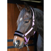 Harry's Horse Halfter Lyrics Quotes Lila Harry's Horse Halfter Lyrics Quotes Lila