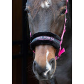Harry's Horse Halfter Lyrics Quotes Rosa Harry's Horse Halfter Lyrics Quotes Rosa