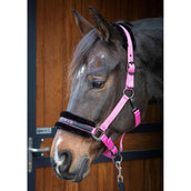 Harry's Horse Halfter Lyrics Quotes Rosa Harry's Horse Halfter Lyrics Quotes Rosa