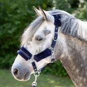 Harry's Horse Halfterset Denici Cavalli Purple Passion Crystal Peacoat Harry's Horse Halfterset Denici Cavalli Purple Passion Crystal Peacoat