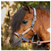 Harry's Horse Halfterset Diva Mauvewood Faded-Denim Harry's Horse Halfterset Diva Mauvewood Faded-Denim