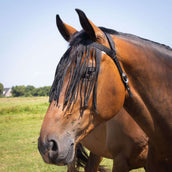 Harry's Horse Fliegenstirnband Comfort+ Schwarz Harry's Horse Fliegenstirnband Comfort+ Schwarz