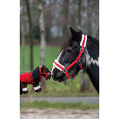 HKM Cuddle Pony Starterset Rot HKM Cuddle Pony Starterset Rot