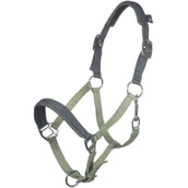 HKM Halfter Barnie Hellgrün/Dunkelgrün HKM Halfter Barnie Hellgrün/Dunkelgrün