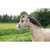 HKM Halfter Barnie Hellgrün/Dunkelgrün HKM Halfter Barnie Hellgrün/Dunkelgrün