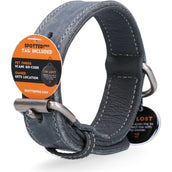 Spotted Pro! Hundehalsband Leder Grau Spotted Pro! Hundehalsband Leder Grau