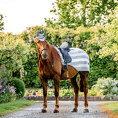 Horseware Ausreitdecke Newmarket Witney Charcoal Horseware Ausreitdecke Newmarket Witney Charcoal