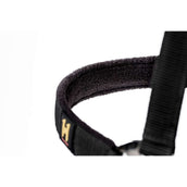 Amigo Halfter & Strick Newmarket Witney Gold Amigo Halfter & Strick Newmarket Witney Gold