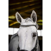 Horseware Micklem Diamante Competition Bridle Schwarz Horseware Micklem Diamante Competition Bridle Schwarz