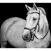 Horseware Micklem Deluxe Competition Bridle Schwarz Horseware Micklem Deluxe Competition Bridle Schwarz