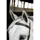 Horseware Micklem Multi Bridle Schwarz Horseware Micklem Multi Bridle Schwarz