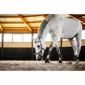 Horseware Micklem Multi Bridle Schwarz Horseware Micklem Multi Bridle Schwarz