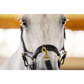 Horseware Micklem Multi Bridle Schwarz Horseware Micklem Multi Bridle Schwarz