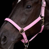 HV Polo Halfter HVPNena Pretty Pink HV Polo Halfter HVPNena Pretty Pink
