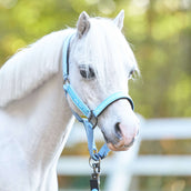 HV Polo Halfter HVPNena Powder Blue HV Polo Halfter HVPNena Powder Blue