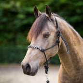 HV Polo Knotenhalfter HVPLamu Schwarz HV Polo Knotenhalfter HVPLamu Schwarz
