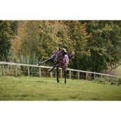 Amigo Turnout Plus 1200D 0g Burgundy/Navy/Titanium Grey Amigo Turnout Plus 1200D 0g Burgundy/Navy/Titanium Grey