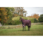 Amigo Turnout Plus 1200D 0g Burgundy/Navy/Titanium Grey Amigo Turnout Plus 1200D 0g Burgundy/Navy/Titanium Grey