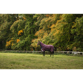 Amigo Turnout Plus 1200D 0g Burgundy/Navy/Titanium Grey Amigo Turnout Plus 1200D 0g Burgundy/Navy/Titanium Grey
