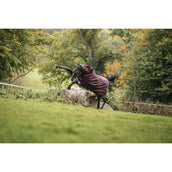 Amigo Turnout Plus 1200D 0g Burgundy/Navy/Titanium Grey Amigo Turnout Plus 1200D 0g Burgundy/Navy/Titanium Grey