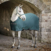 Amigo Jersey Cooler Dynasty Green/Navy/Silver Amigo Jersey Cooler Dynasty Green/Navy/Silver