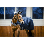 Amigo Walker Rug Ripstop 900D 100g Navy/Titanium Grey Amigo Walker Rug Ripstop 900D 100g Navy/Titanium Grey
