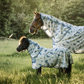 Amigo Bug Rug Plus Petite Dragonfly Print/Silver/Blue/Sage Amigo Bug Rug Plus Petite Dragonfly Print/Silver/Blue/Sage