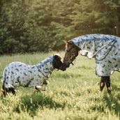 Amigo Bug Rug Plus Petite Dragonfly Print/Silver/Blue/Sage Amigo Bug Rug Plus Petite Dragonfly Print/Silver/Blue/Sage