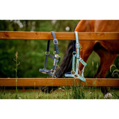 Horseware Halfter Field Safe Blue Haze Horseware Halfter Field Safe Blue Haze