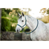 Amigo Halfter & Strick Dynasty Green Amigo Halfter & Strick Dynasty Green
