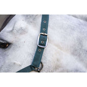Amigo Halfter & Strick Dynasty Green Amigo Halfter & Strick Dynasty Green