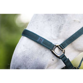 Amigo Halfter & Strick Dynasty Green Amigo Halfter & Strick Dynasty Green